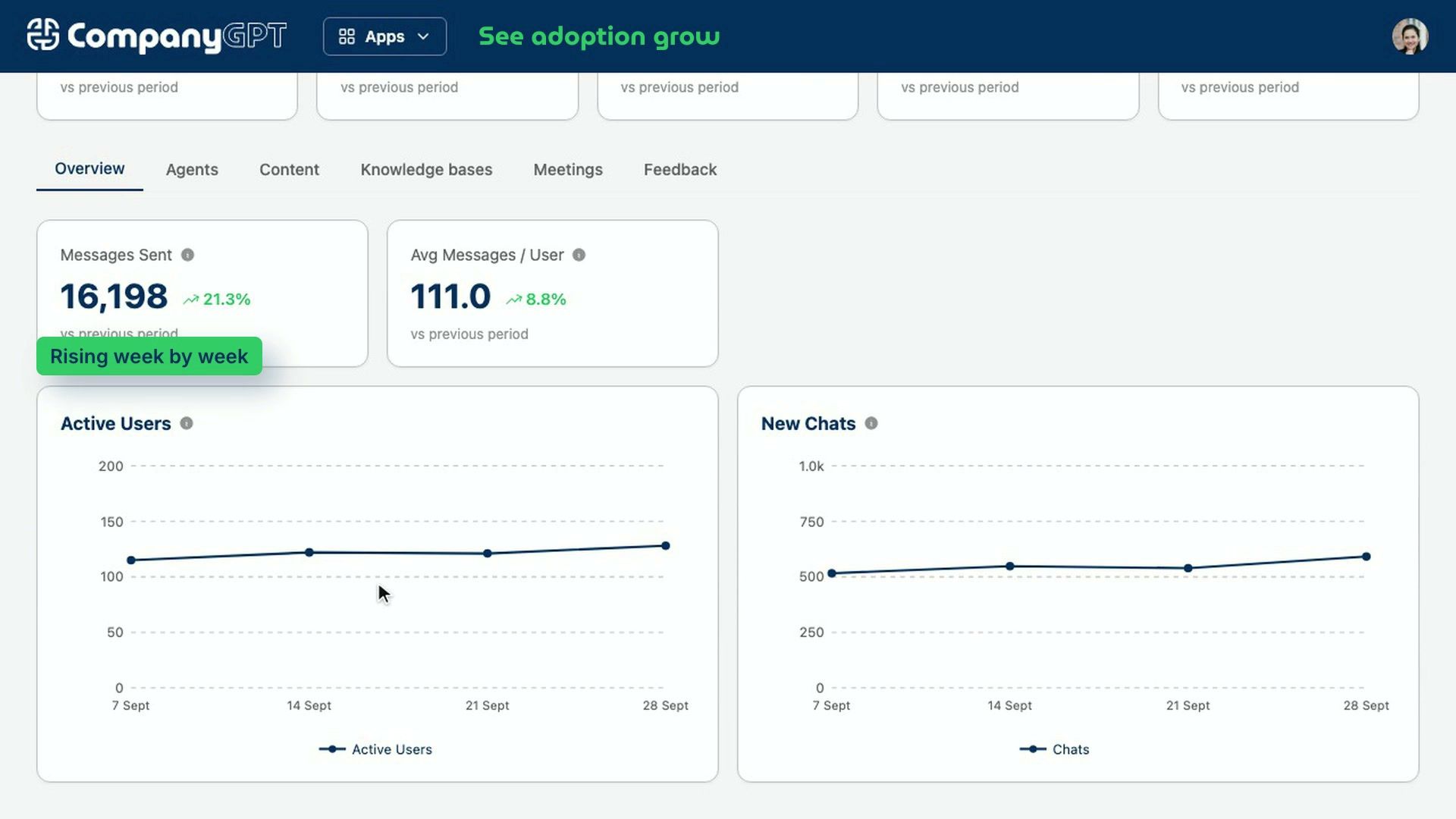 CompanyGPT: adoption dashboard, see how your organisation uses CompanyGPT.