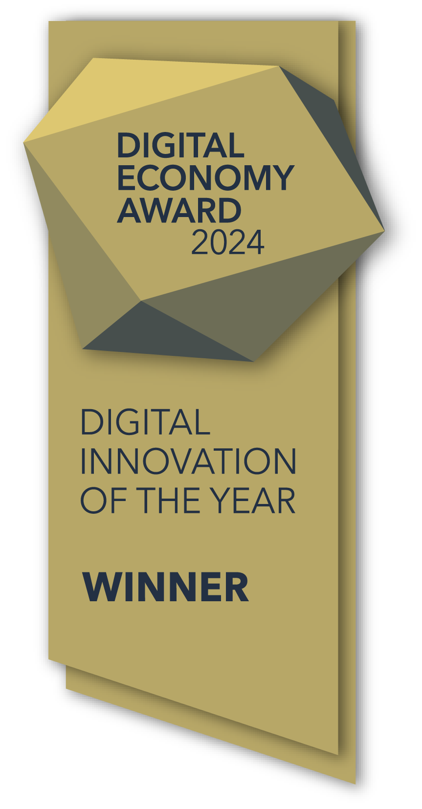 Digital Economy Award